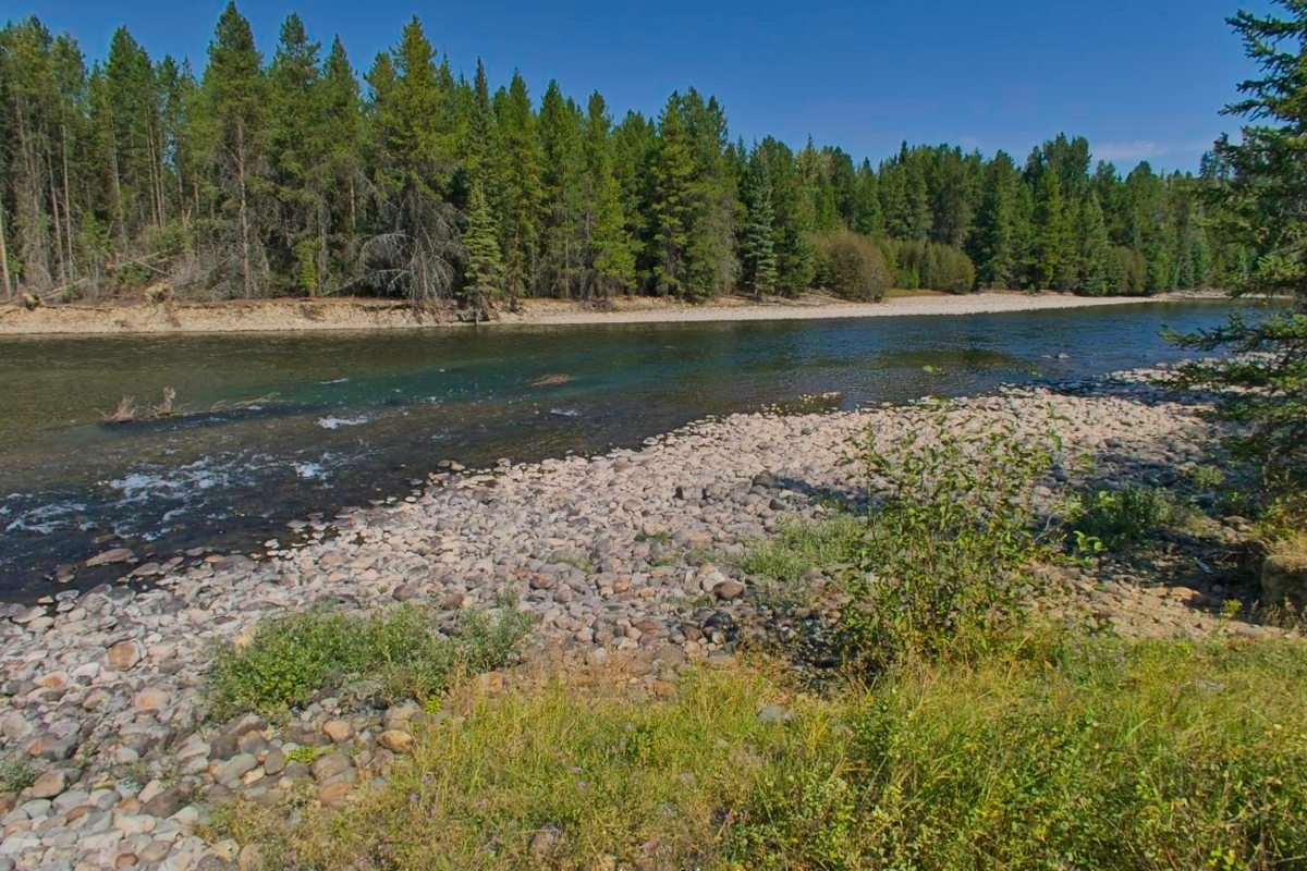 My first fly fishing spot                          