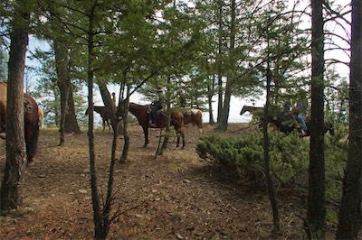 The horses arrive on Mothers Day Peak