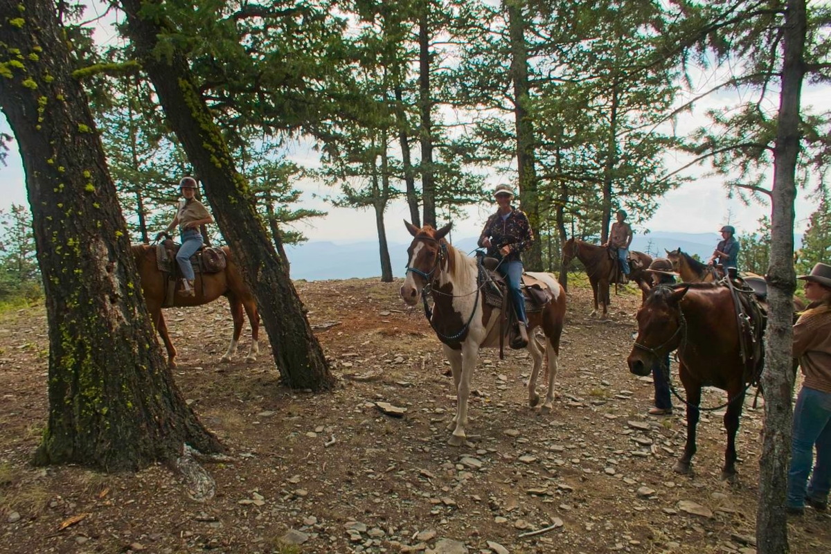Horses on Mothers Day Peak