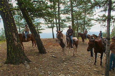 Horses on Mothers Day Peak