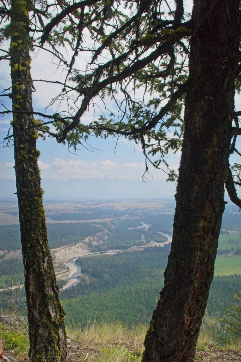 View from Mothers Day Peak
