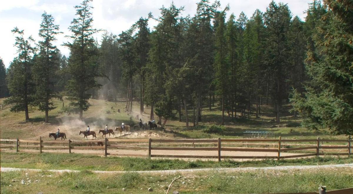 The Horses are let out for the night