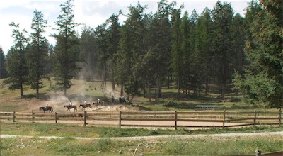 The Horses are let out for the night