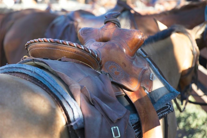 A Western saddle
