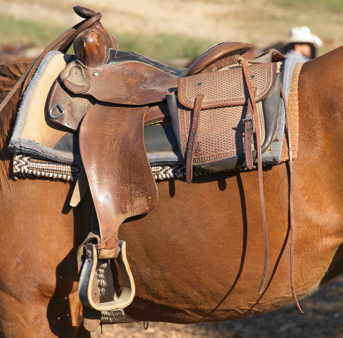 Saddle