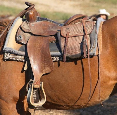 Saddle